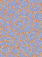 Bold Abstract Organic Line Pattern Rug
