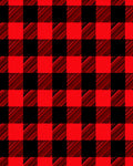 Classic Red Black Checkered Pattern Rug