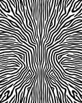 Bold Black and White Abstract Stripes Rug