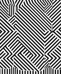 Bold Black White Geometric Illusion Rug