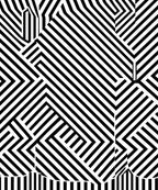 Bold Black White Geometric Illusion Rug