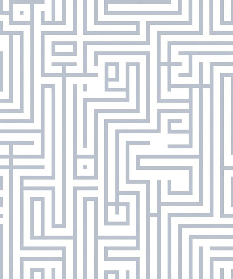 Geometric Labyrinth Lines Design Rug