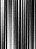 Black White Stripe Pattern Rug