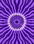Purple Radial Floral Pattern Rug