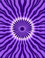Purple Radial Floral Pattern Rug