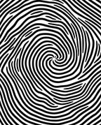 Black And White Swirl Pattern Rug
