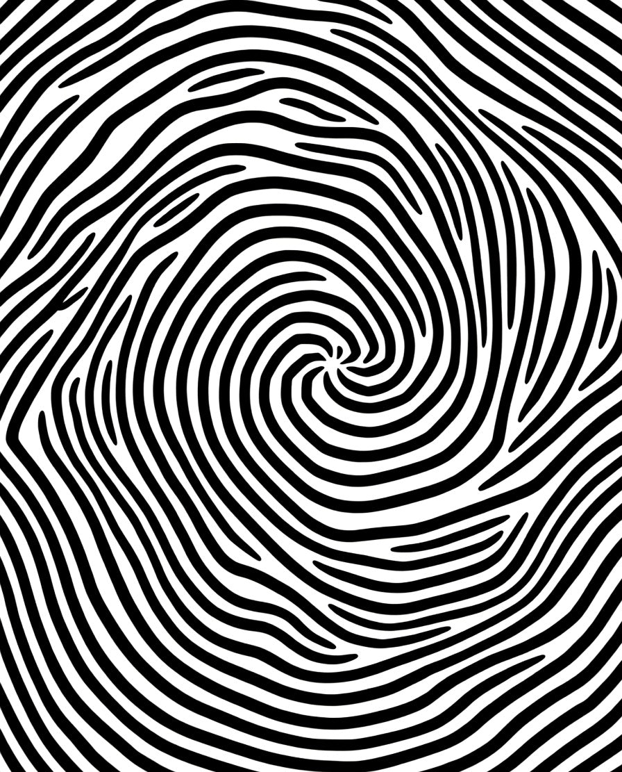 Black And White Swirl Pattern Rug