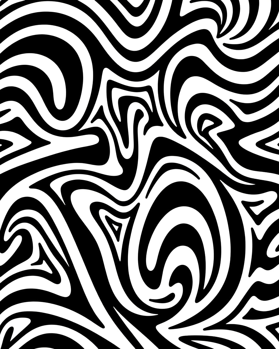 Bold Black and White Swirl Pattern Rug