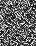 Black White Dotted Abstract Pattern Rug
