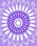 Purple White Floral Mandala Design Rug