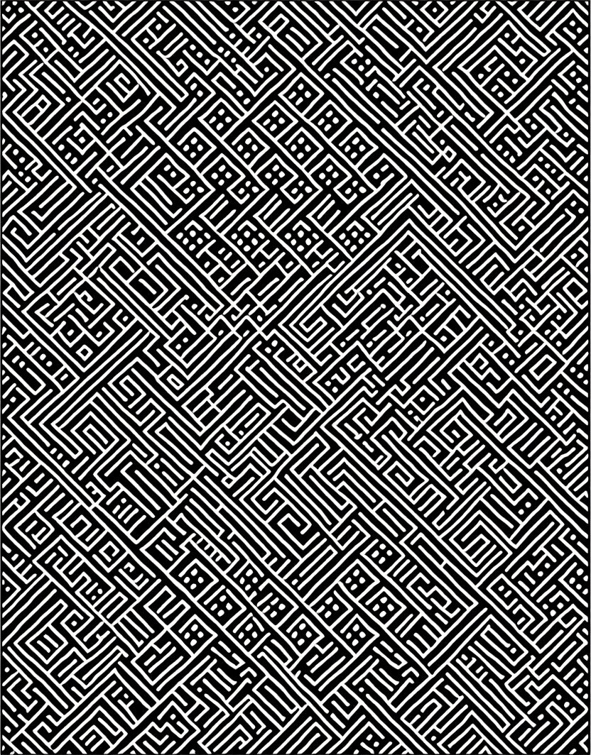Intricate Labyrinth Black White Pattern Rug