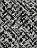 Intricate Labyrinth Black White Pattern Rug