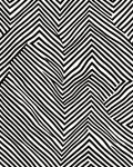 Black White Optical Illusion Pattern Rug