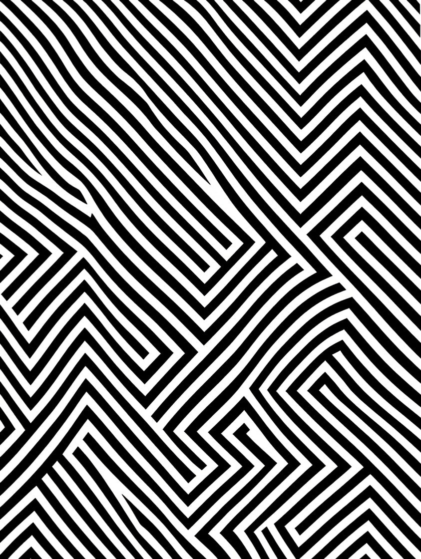 Modern Black White Stripe Maze Design Rug