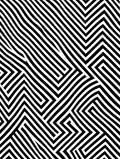 Modern Black White Stripe Maze Design Rug