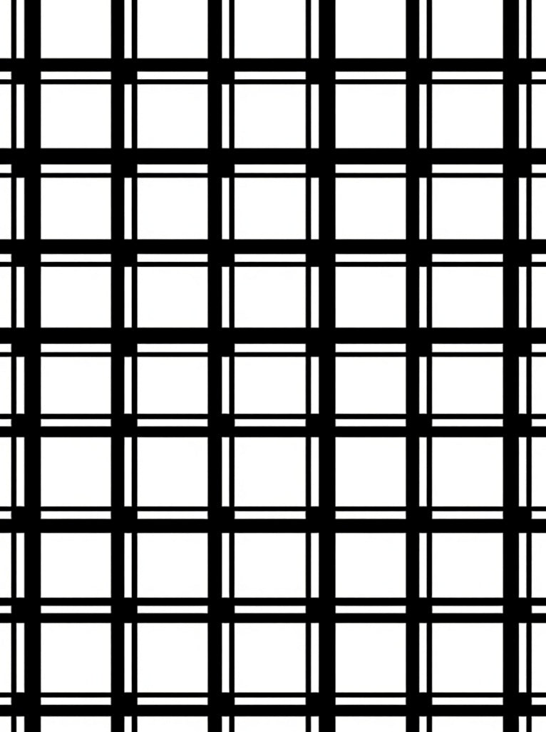 Bold Black White Grid Pattern Rug