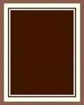 Simple Bold Bordered Dark Brown Rug