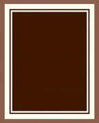 Simple Bold Bordered Dark Brown Rug