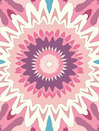 Pink Purple Floral Sunburst Pattern Rug