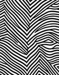 Bold Black White Striped Abstract Rug
