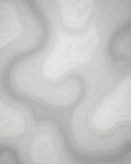 Swirling Abstract Neutral Tone Rug