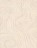 Abstract Swirls Beige Brown Lines Rug