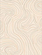 Abstract Swirls Beige Brown Lines Rug
