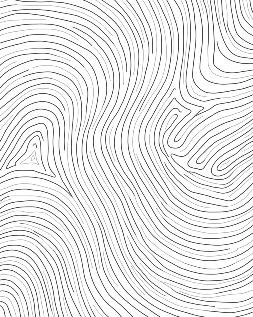 Abstract Black White Wavy Lines Rug