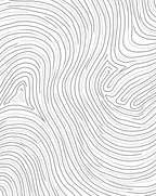 Abstract Black White Wavy Lines Rug