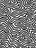 Abstract Black White Winding Lines Rug