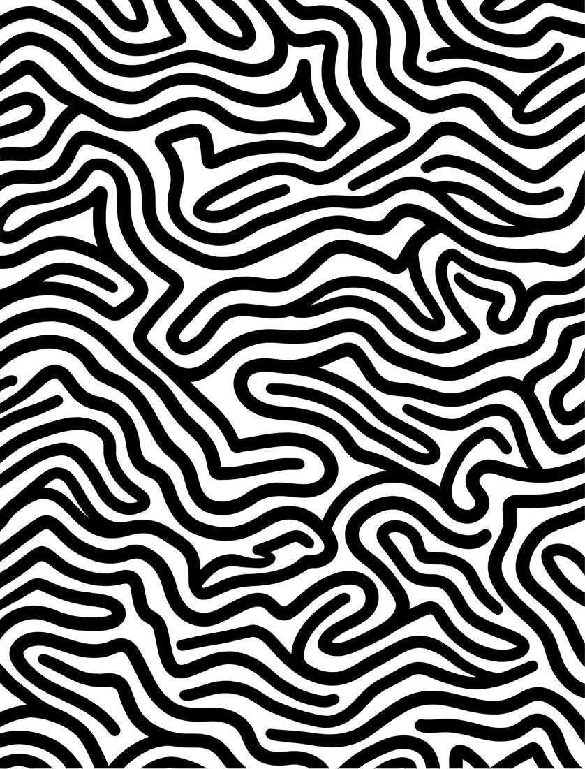 Abstract Black White Winding Lines Rug