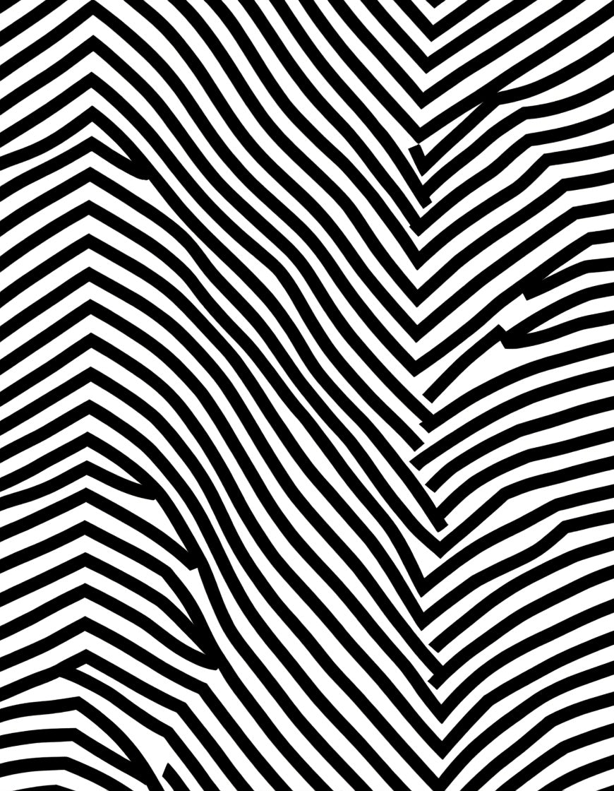 Abstract Black White Optical Illusion Rug