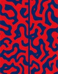 Abstract Red Blue Wavy Pattern Rug