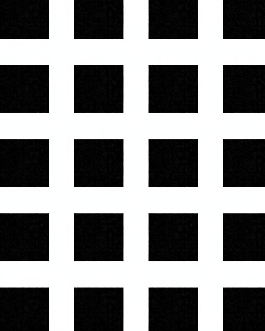 Bold Black White Grid Pattern Rug