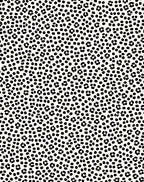 Wild Cat Spots Pattern Rug