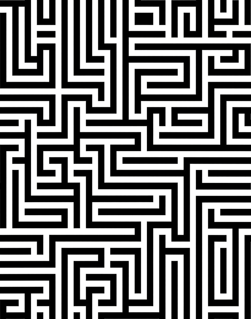 Black White Maze Pattern Rug
