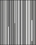 Bold Vertical Stripe Accent Rug