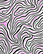 Bold Pink Zebra Stripe Pattern Rug