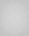Radiant Swirls And Feather Accents Design Rug