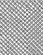 Interlocking Labyrinth Black and White Rug