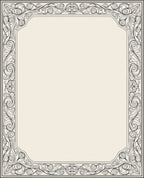 Vintage Swirl Flourish Scroll Border Rug