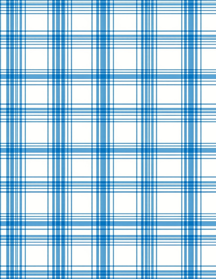 Classic Blue White Plaid Pattern Rug