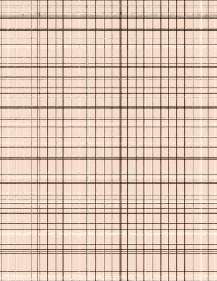 Classic Grid Line Pattern Rug