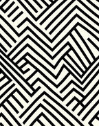 Abstract Black White Maze Pattern Rug