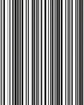 Bold Vertical Striped Graphic Rug