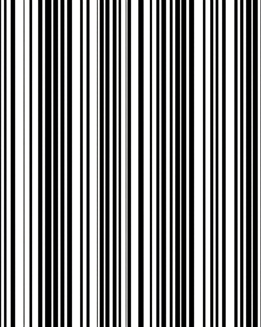 Bold Vertical Striped Graphic Rug