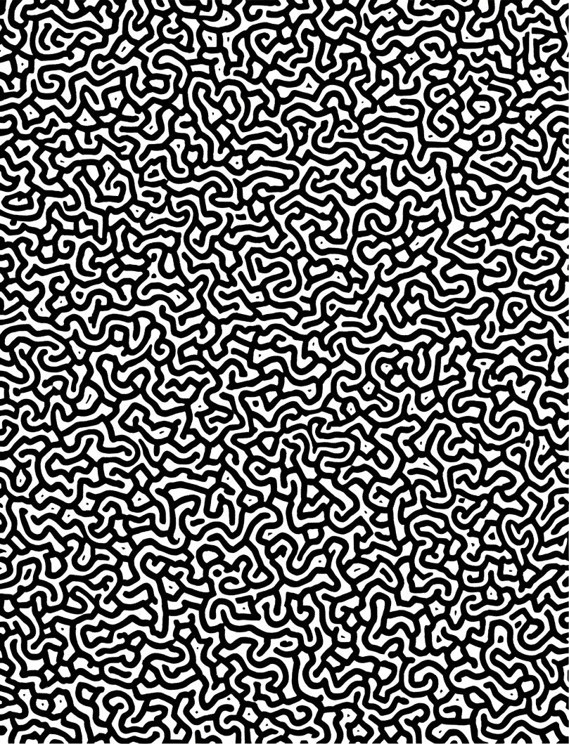 Abstract Black White Maze Pattern Rug