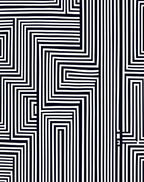 Black White Geometric Illusion Pattern Rug