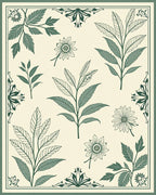 Vintage Botanical Illustration Style Rug