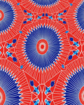 Bold Red Blue Radiant Sunburst Pattern Rug